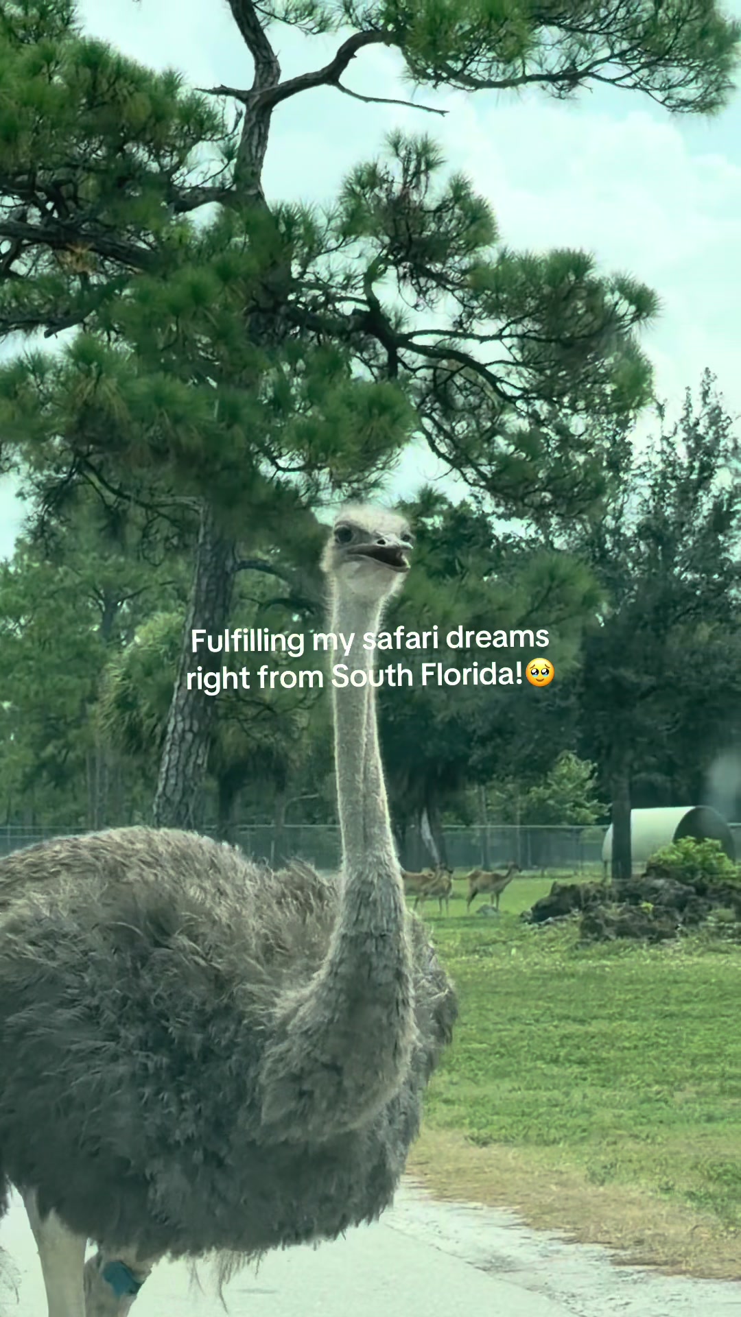 @anna.fumo