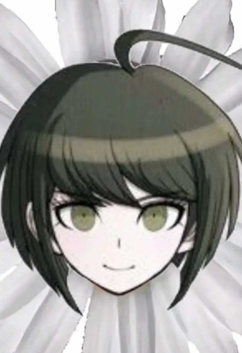 @★✵~𝓟𝓟𝓪𝓵𝓪𝓬𝓮~✵★