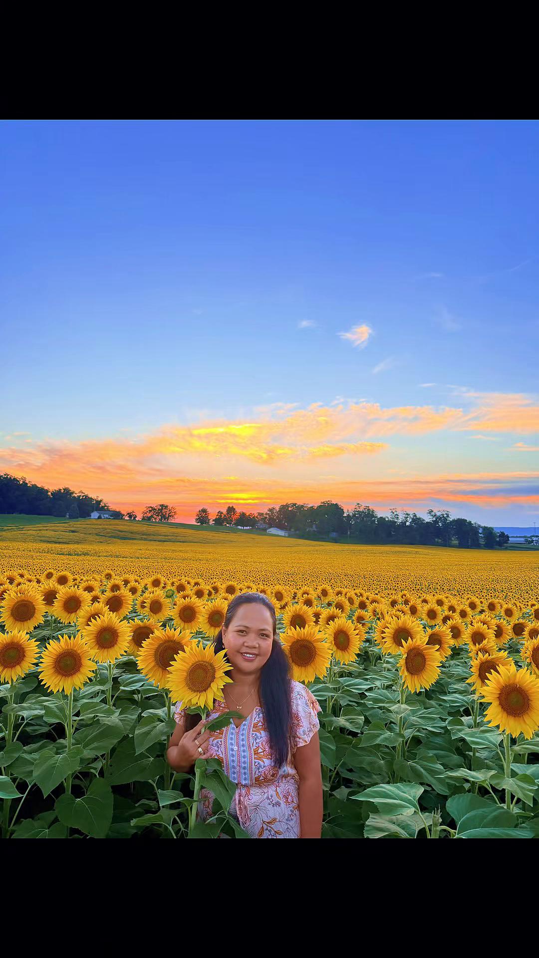 @🌸Shengtv🌸🇵🇭🇺🇸