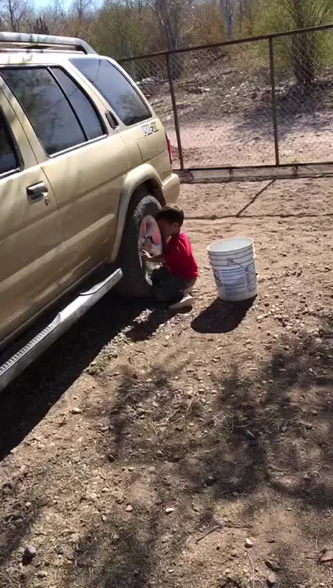 @Guadalupe Salazar
