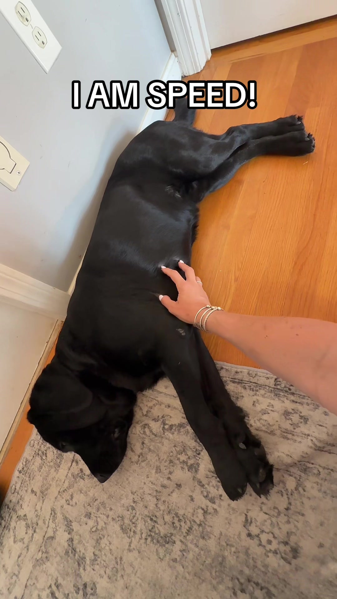 @DennisTheBlackLab
