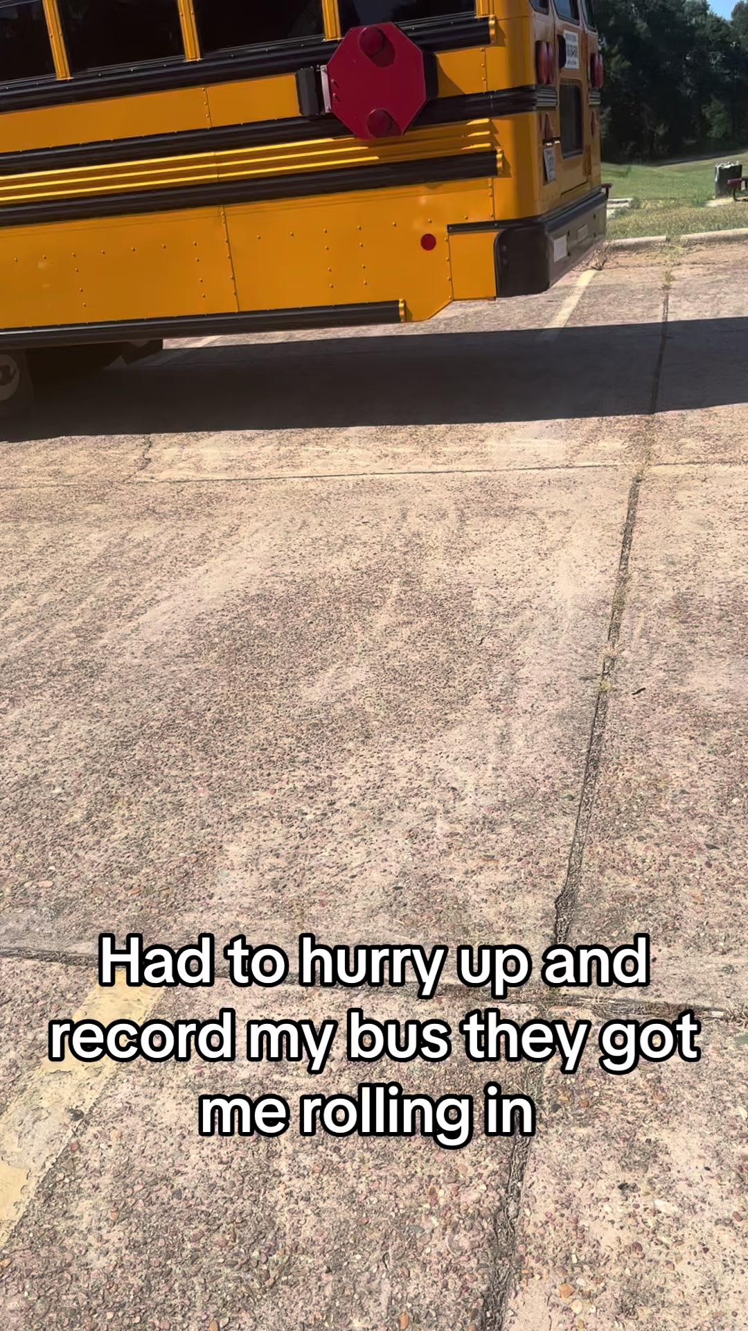 @Bluebirdbus302