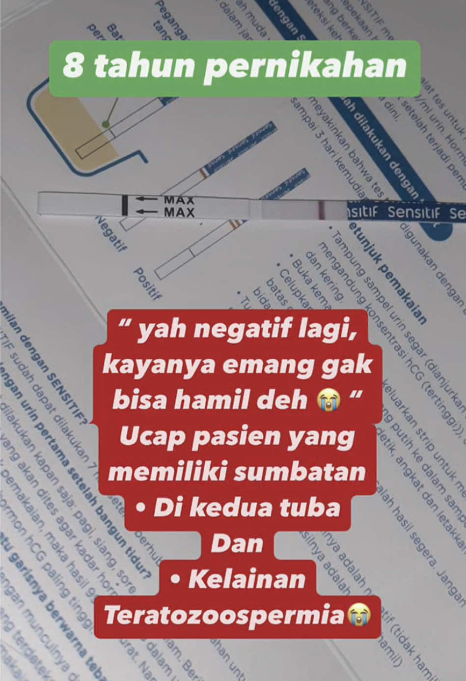 @promilholistik