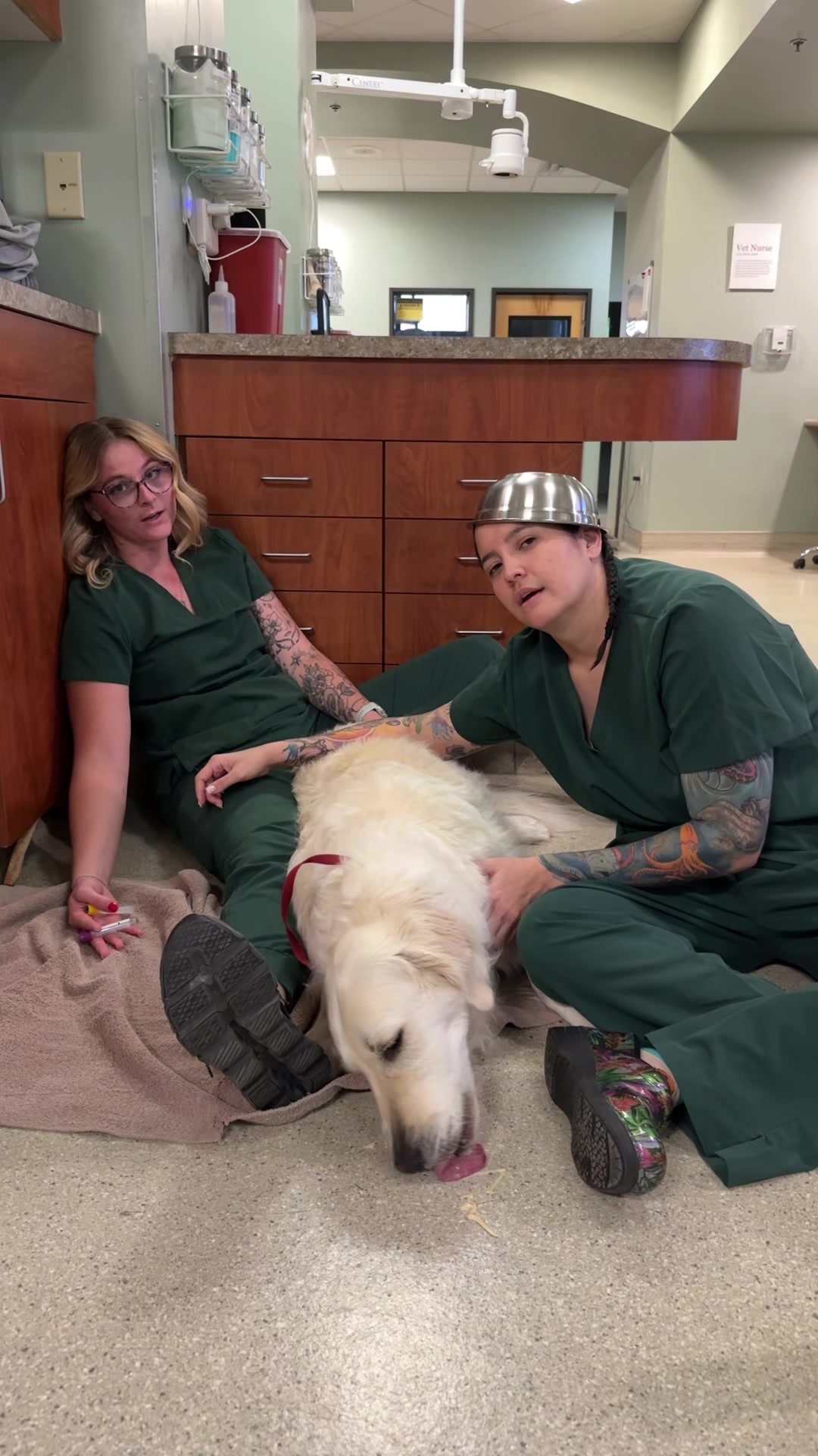 @Dreaming Summit Animal Hosp