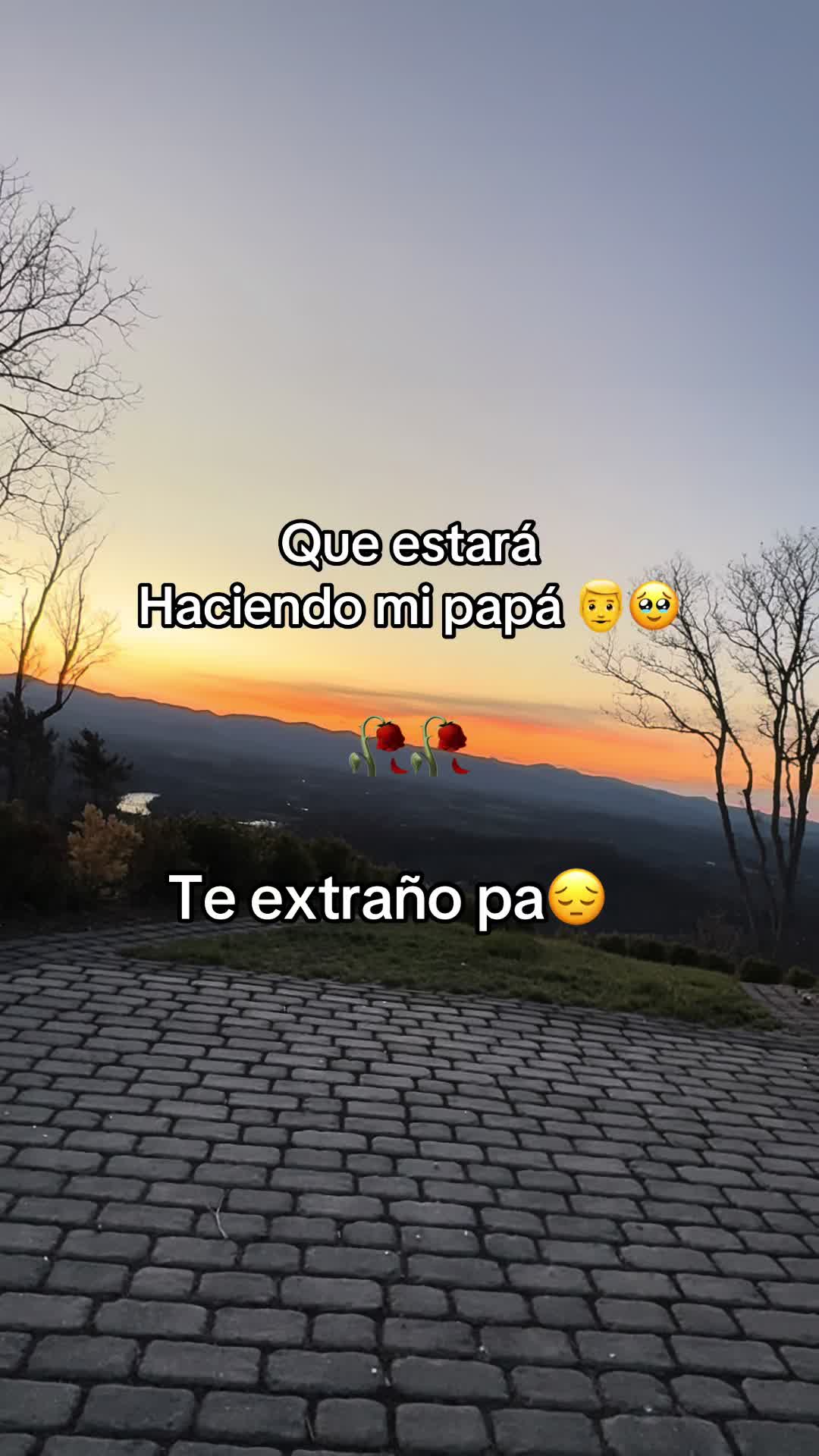 @Arelyn 🤍💗