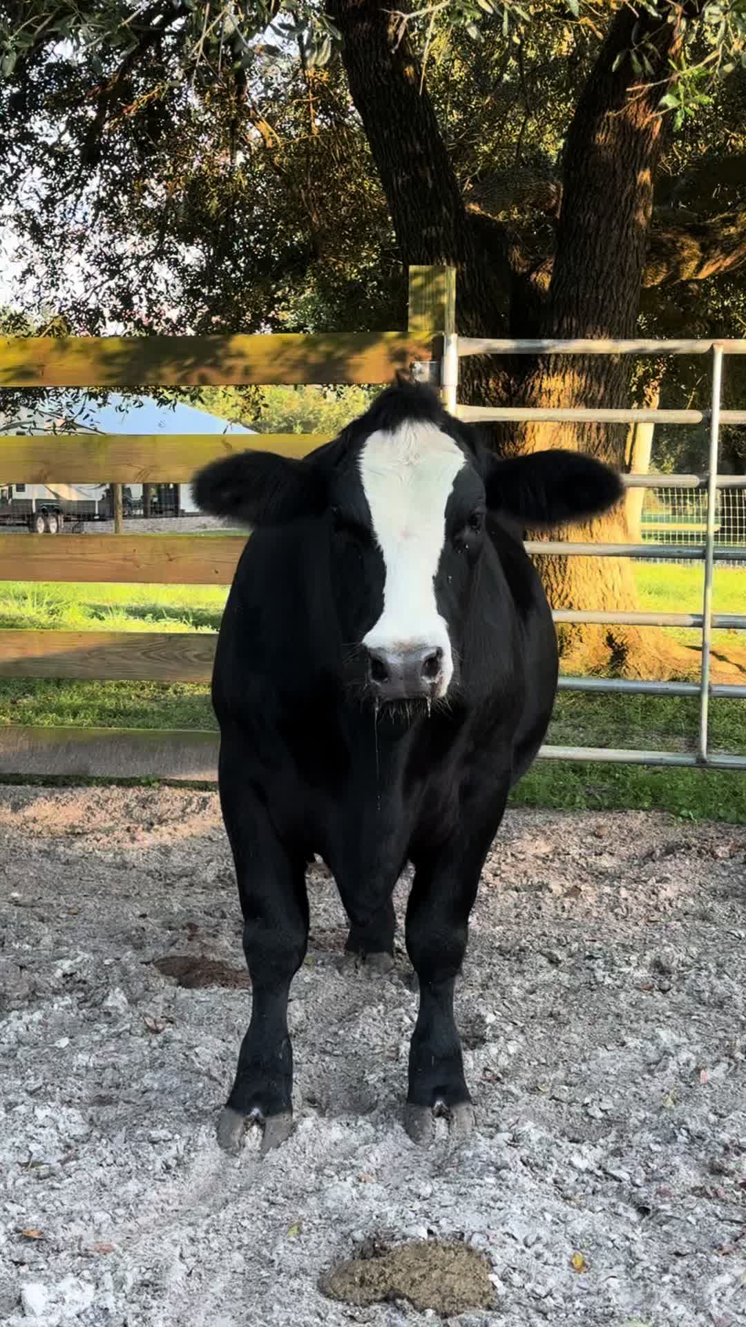 @RRFarmLabs