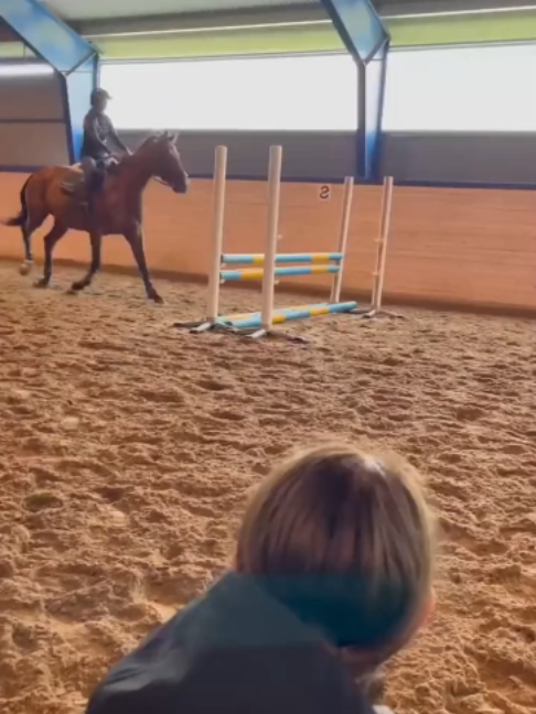 @Horses TikTok