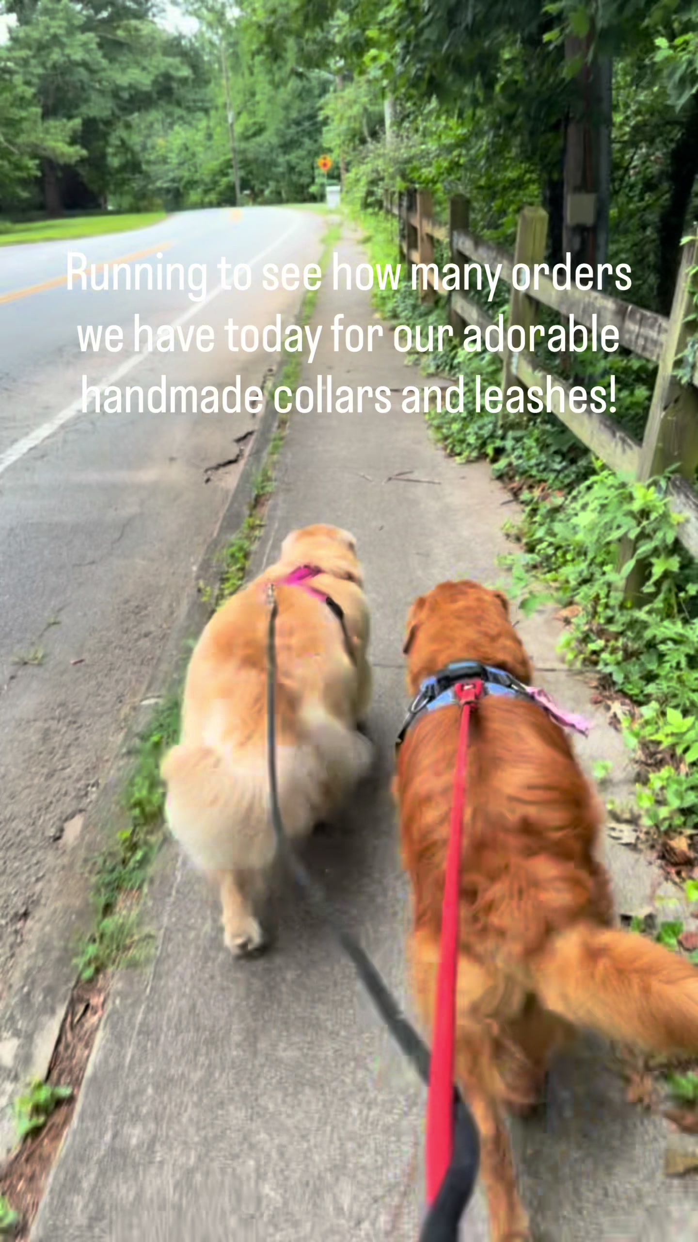@DogMomisms