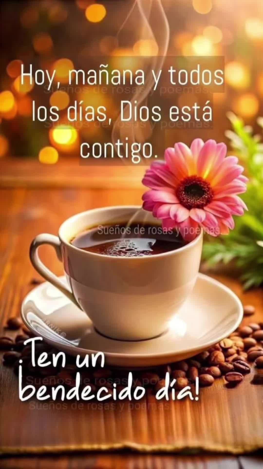 @elvirasvg
