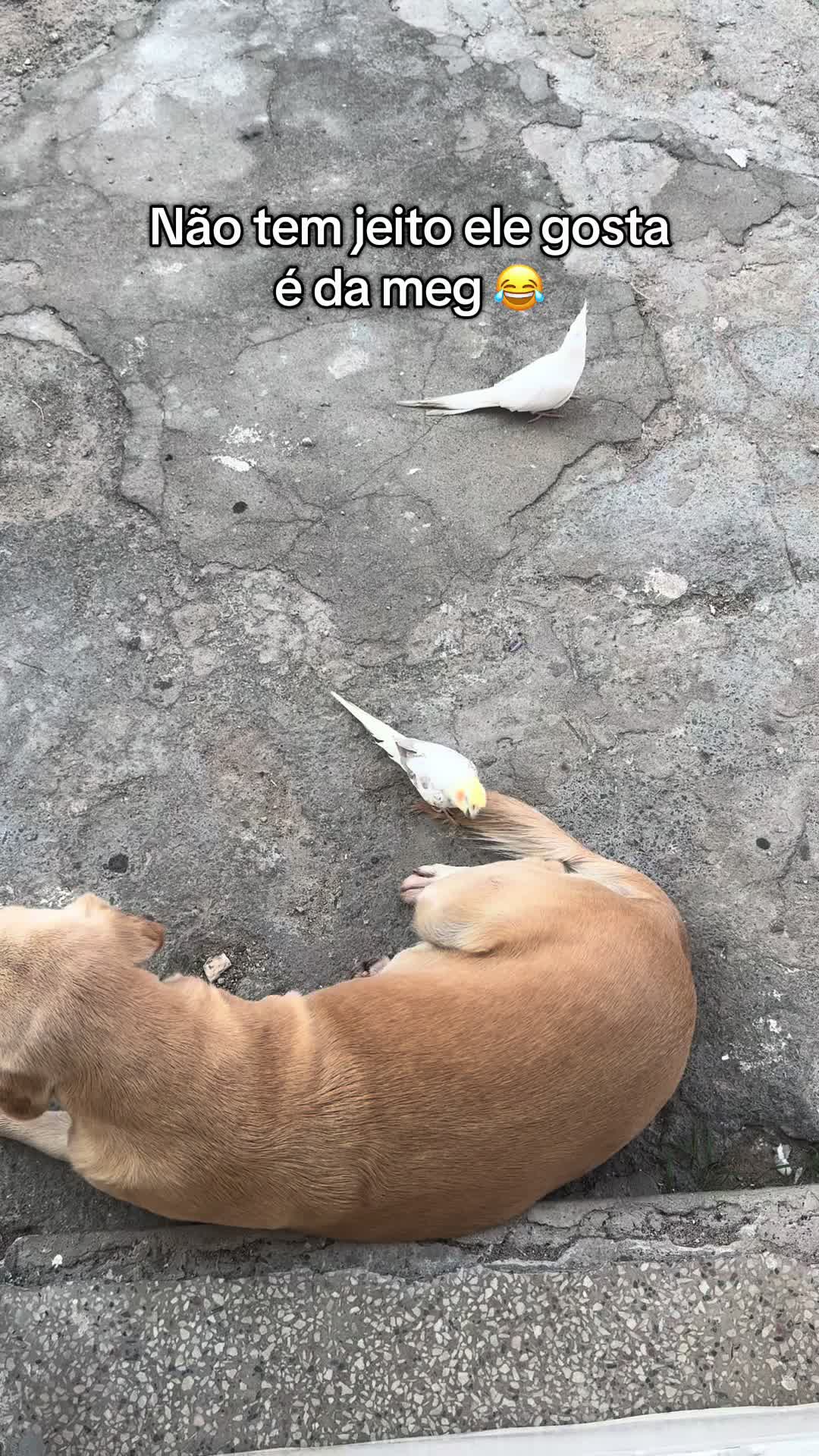@Sessão Pipoca 🍿 🎥