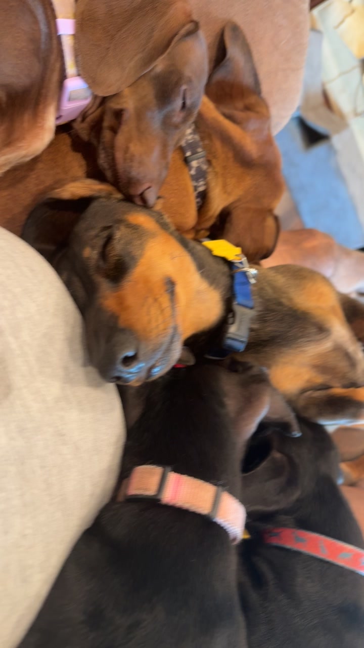 @ozzythedoxy