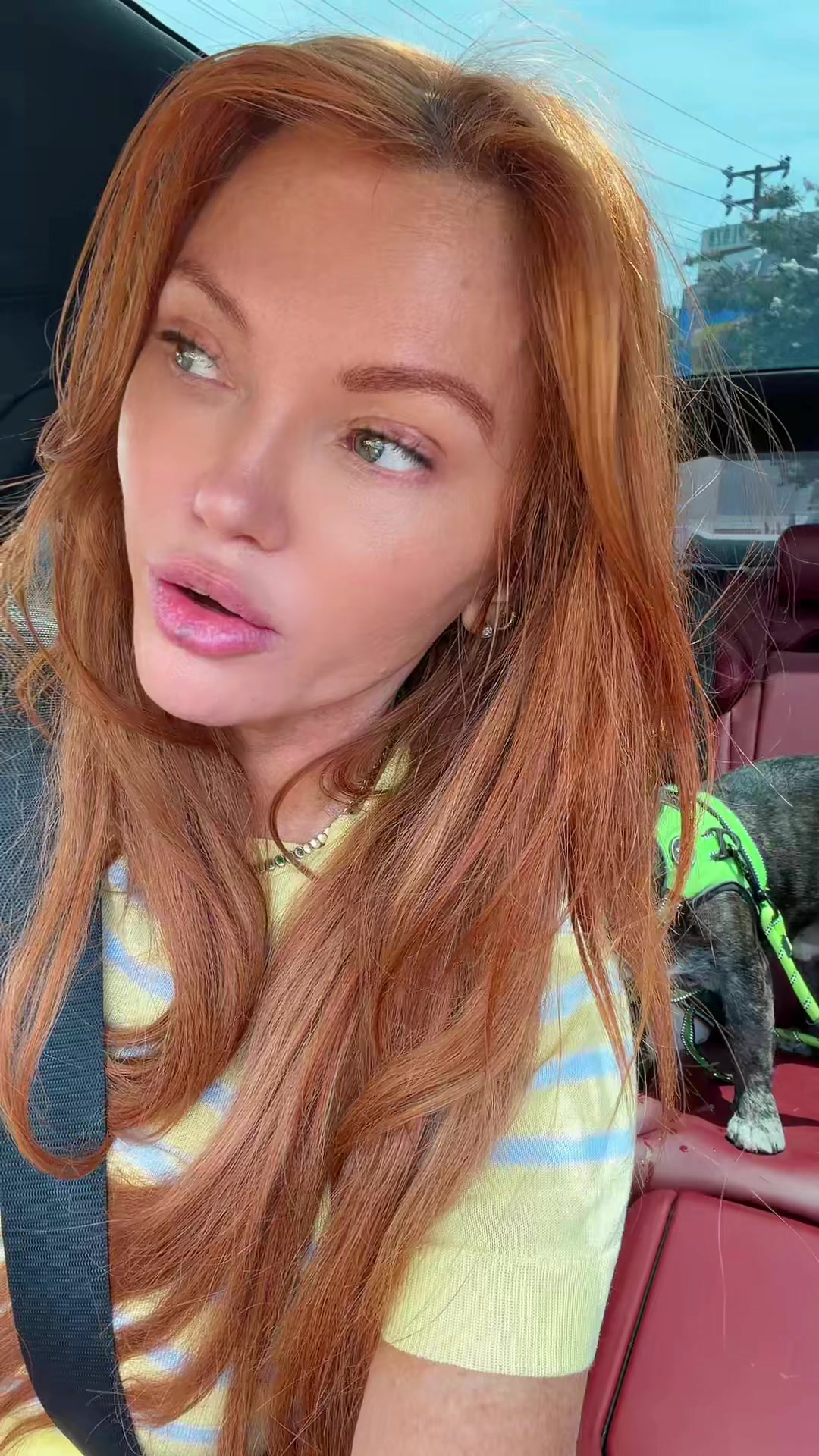 @tamarathorne