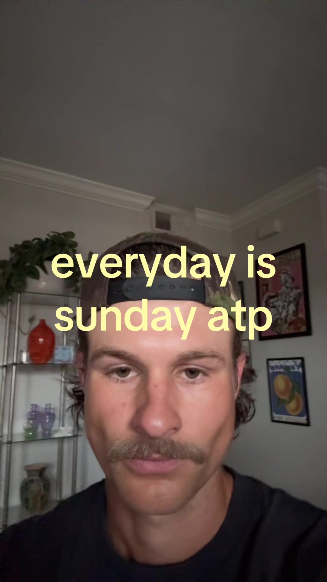 @shane