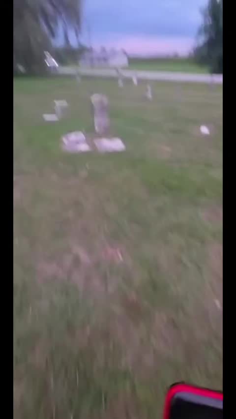 @Trifoliumgirl