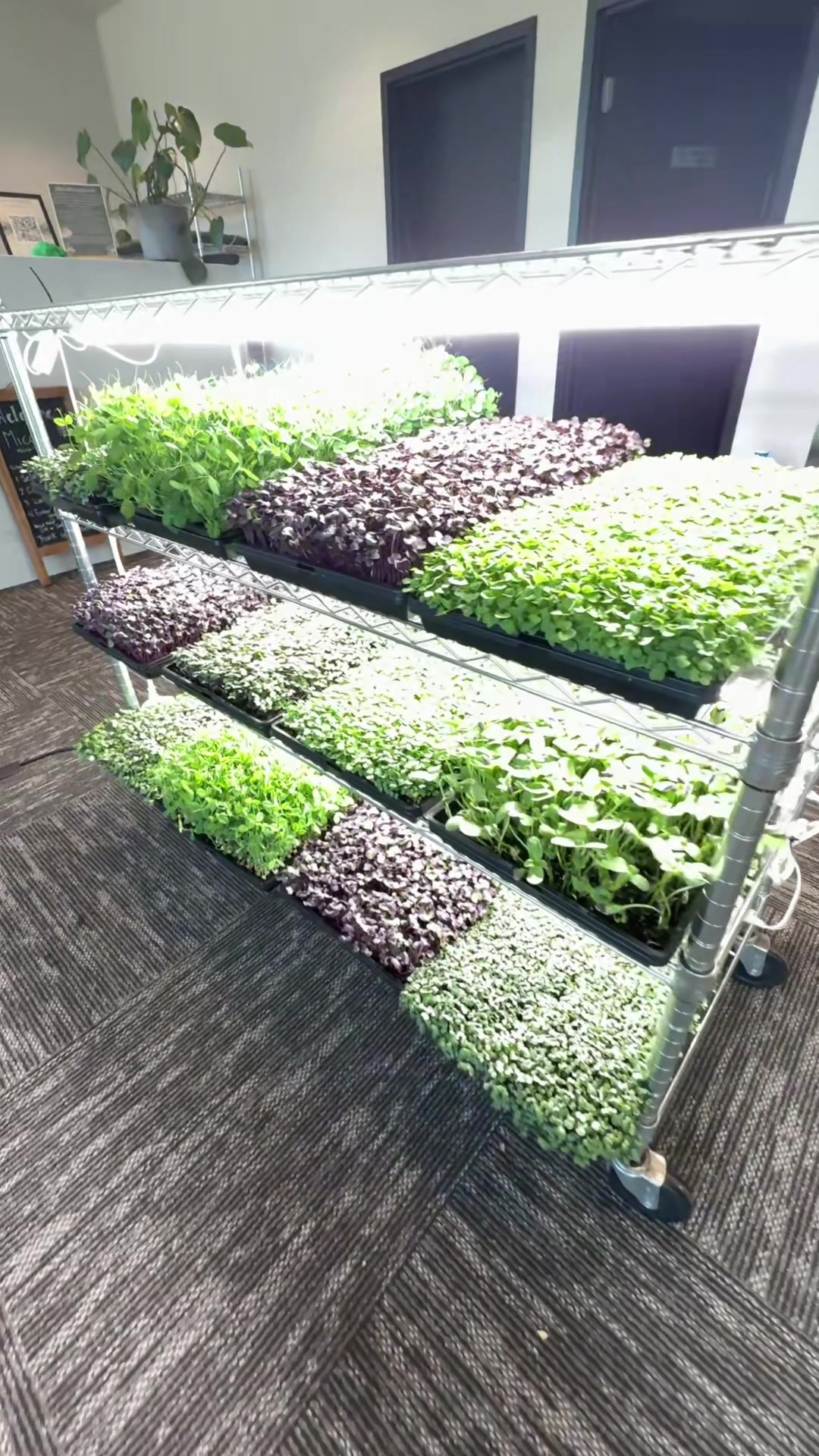 @Micos Micro Farm