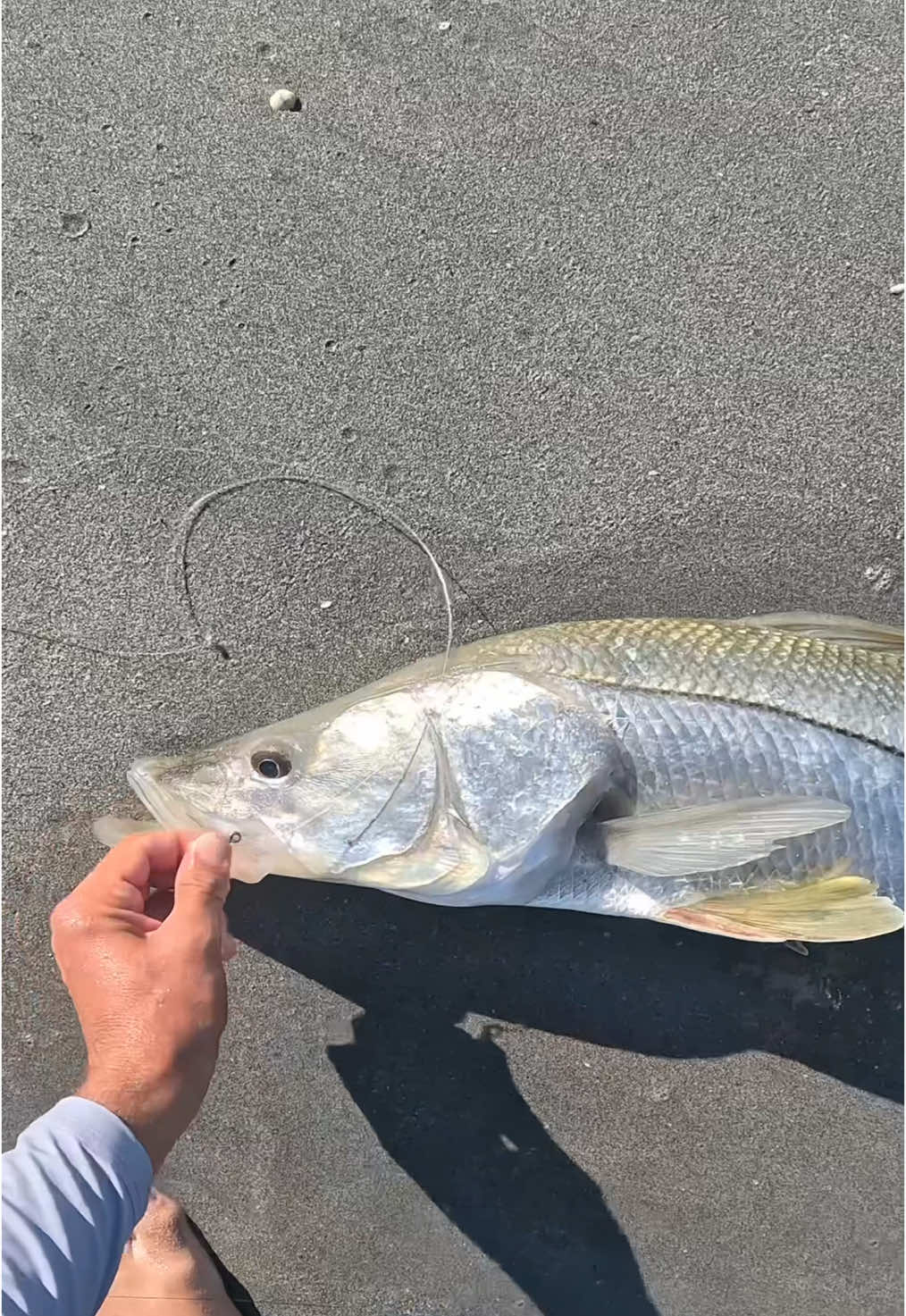 @Dripped Out Fishing Co