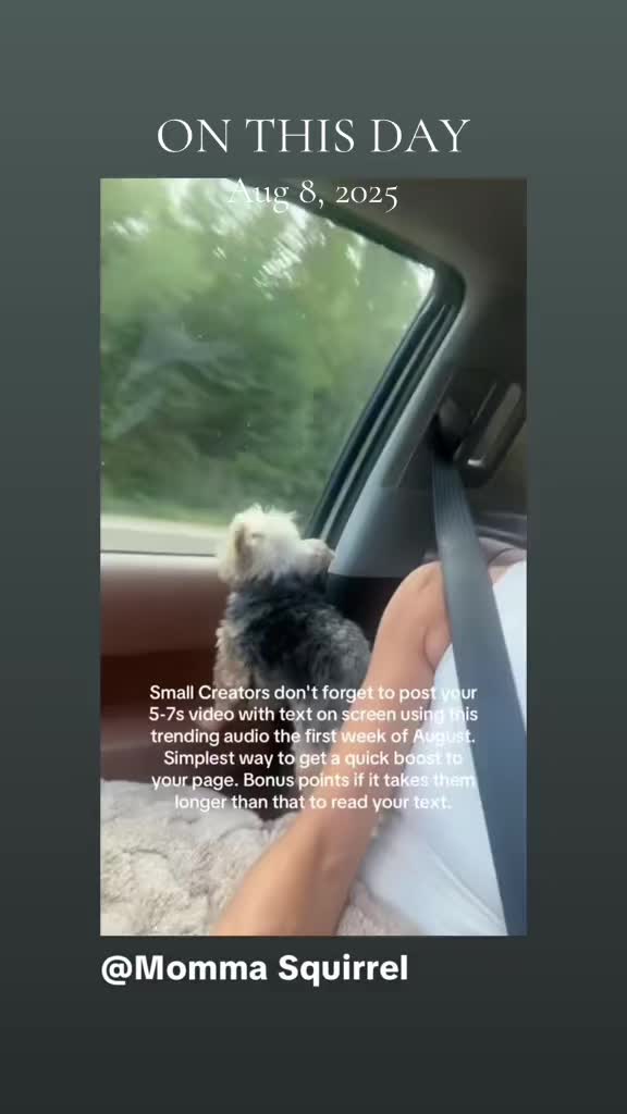 @Momma Squirrel ❌
