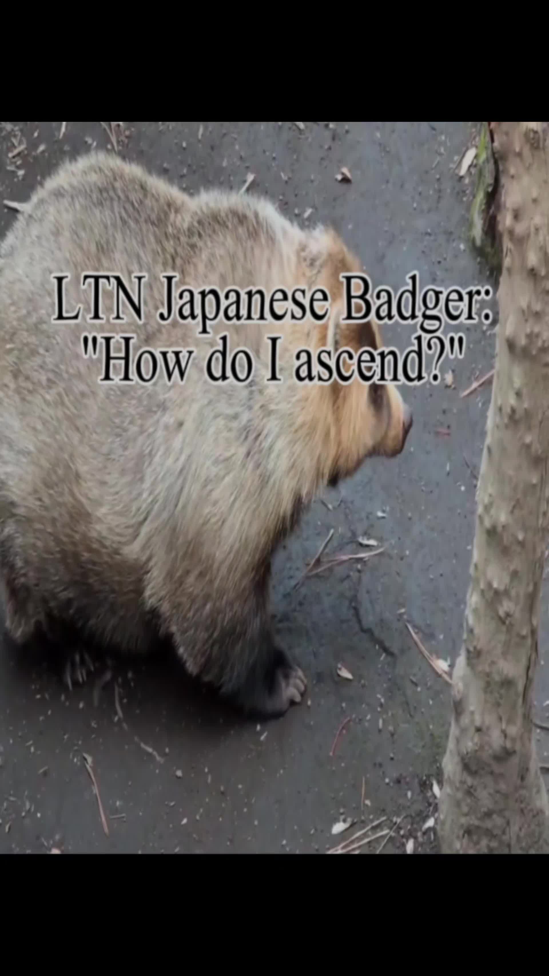 @monkeyspaw