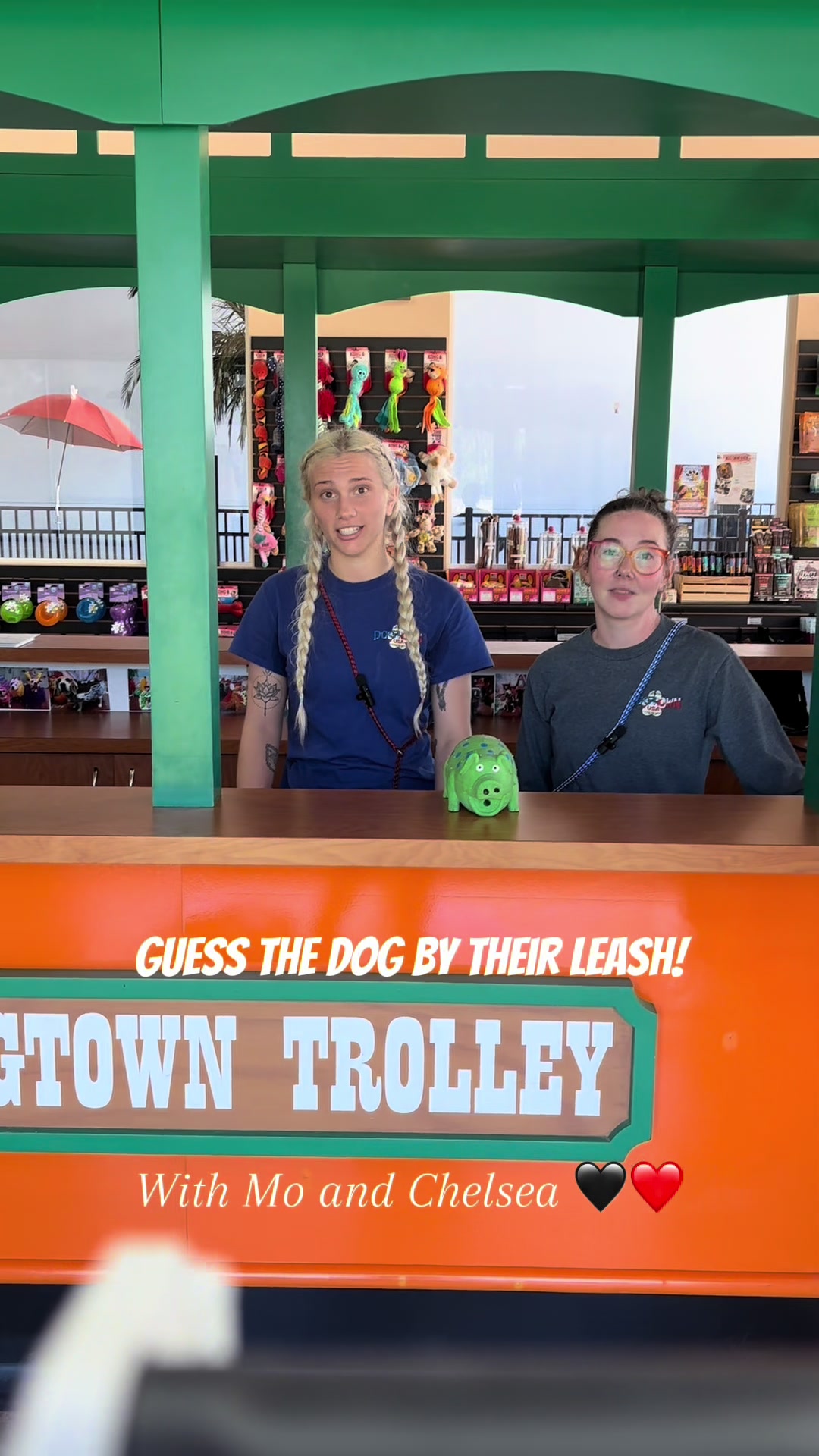 @dogtownstaugustine