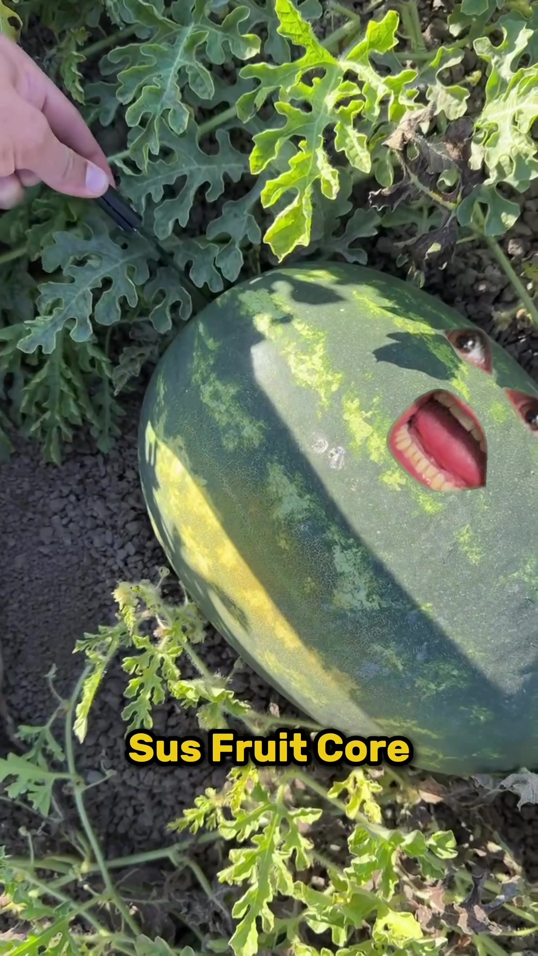 @JONNY ENGLSH