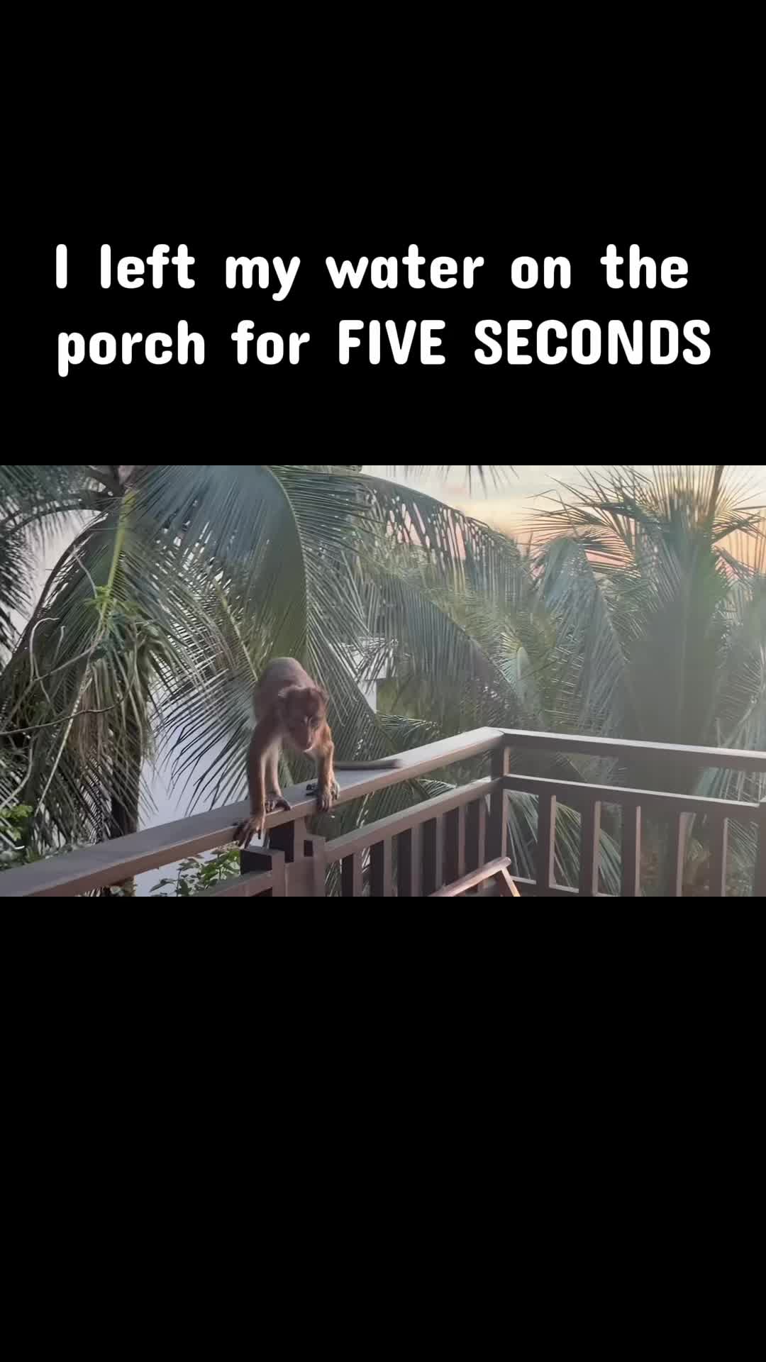 @SpaceSailor007