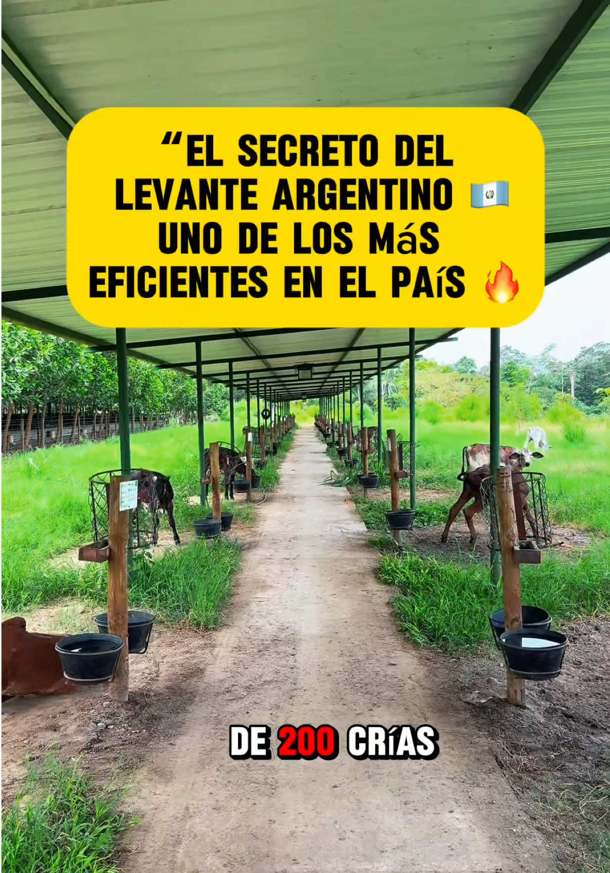 @Rehagronegocios
