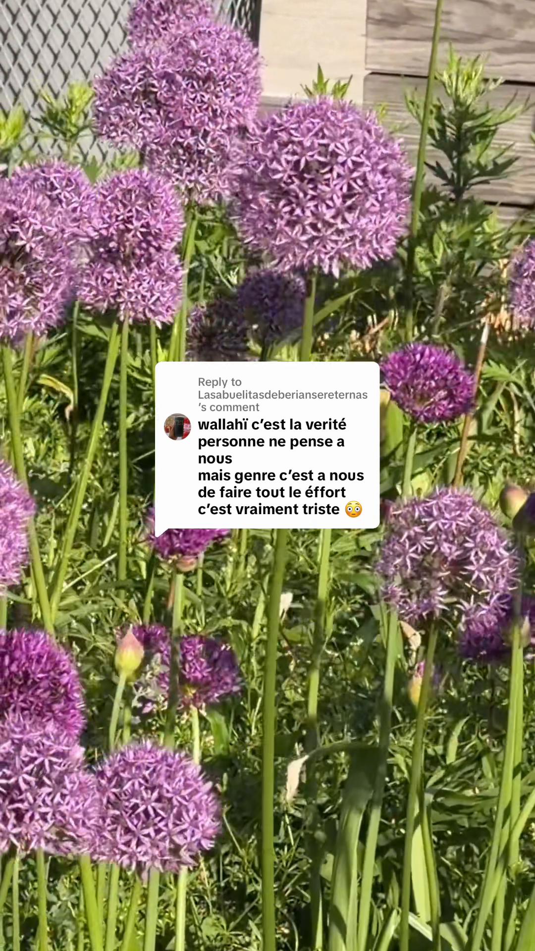 @Z A L I M A L I &trade;️