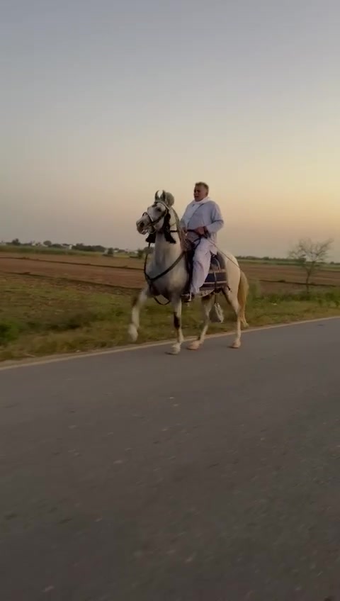 @Raja Farm House and stable