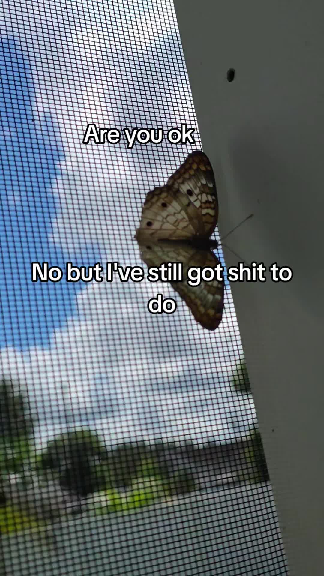 @Cary Metzker