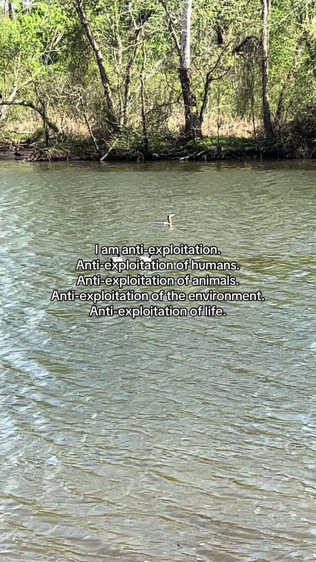 @environmentalist bro