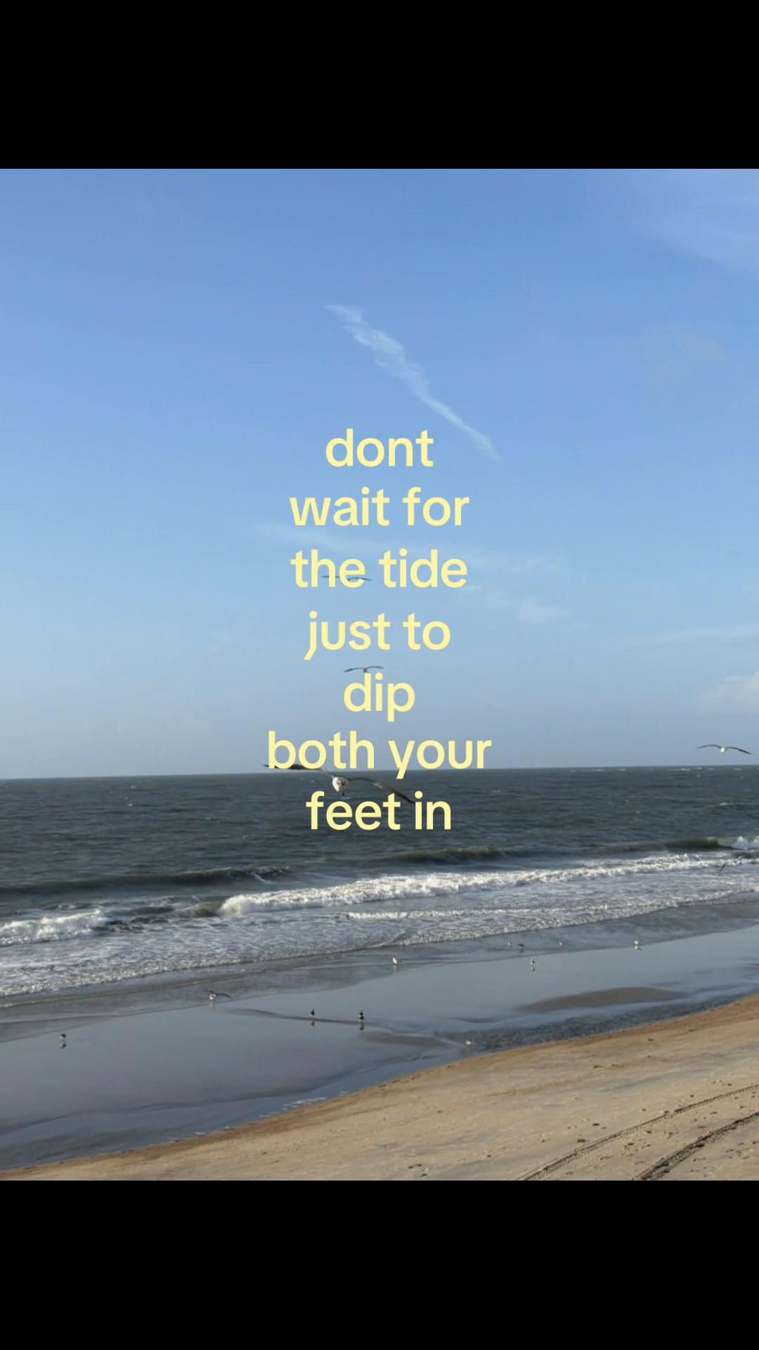 @𝄞uuch0i