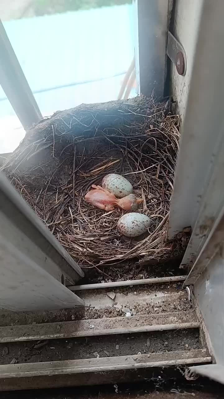 @辉辉