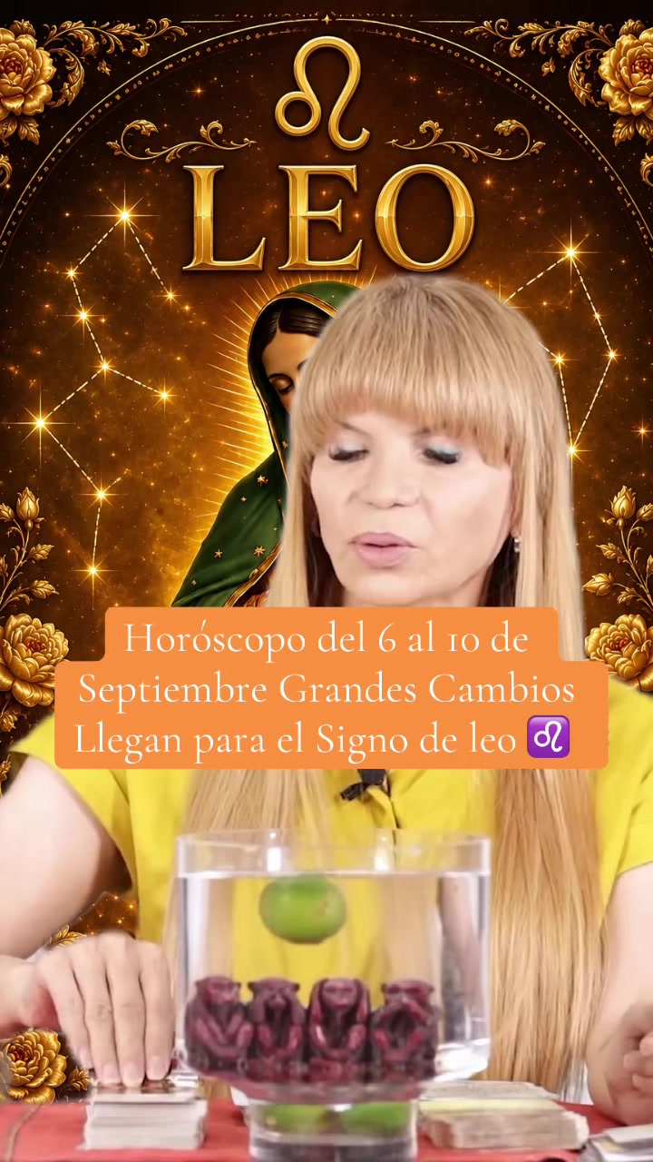 @✨ORÁCULO 13 ✨