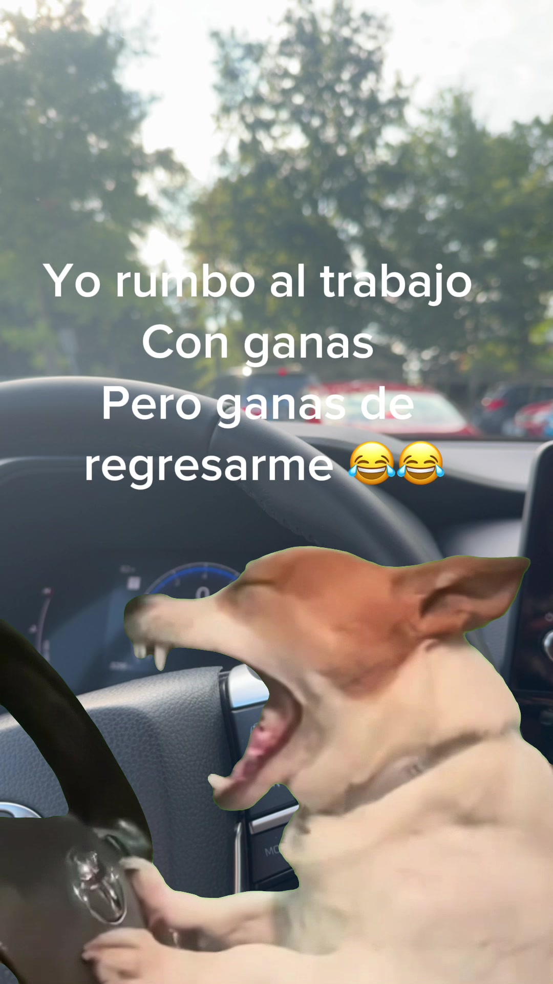 @Yanett Rivera