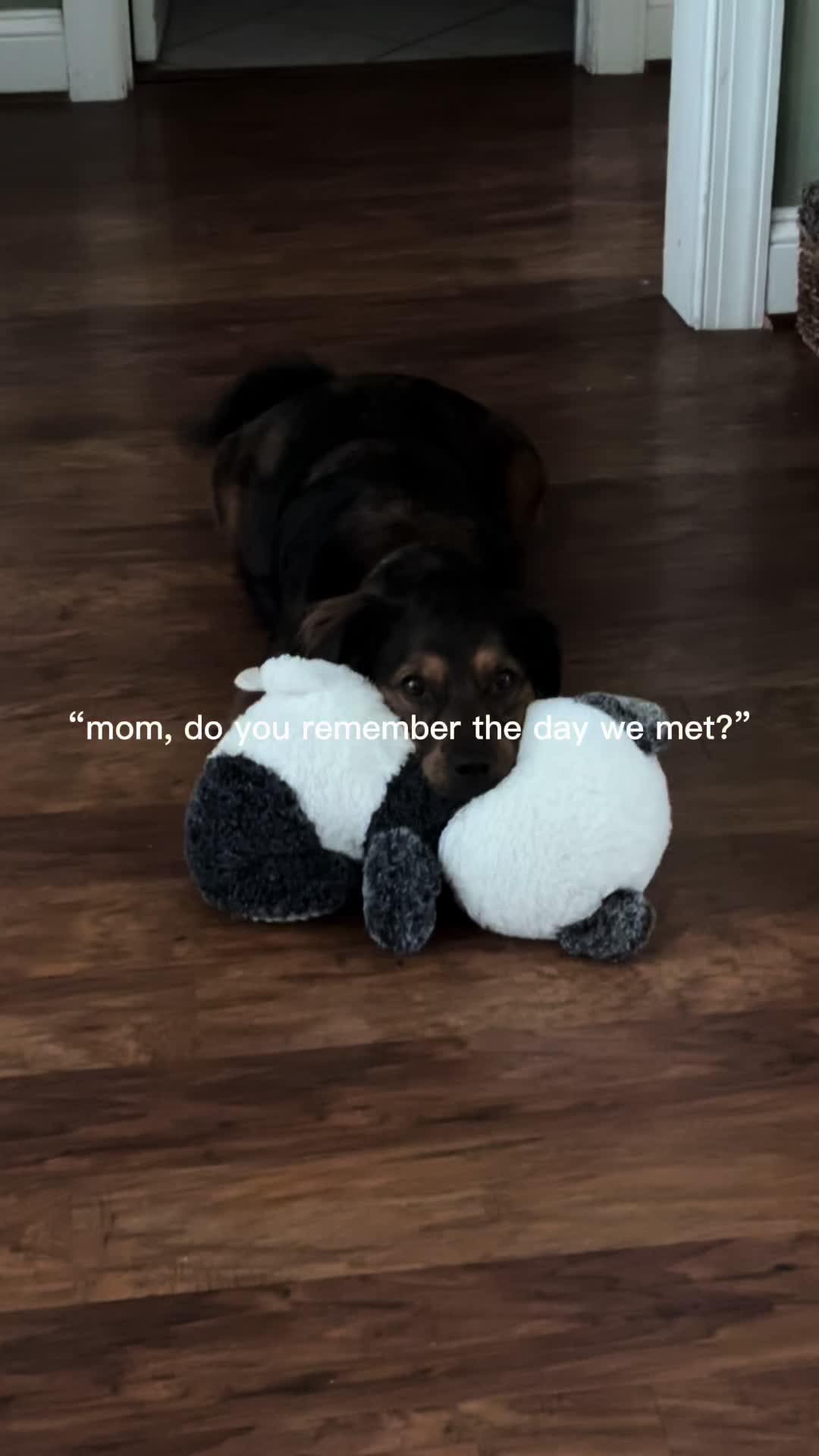 @Mel