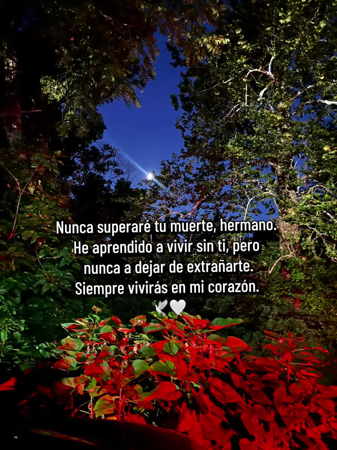@𝓜𝓪𝓻𝓰𝓪𝓻𝓪.𝓞𝓯𝓲𝓬𝓲𝓪𝓵✨