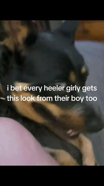 @Jessica Fleming