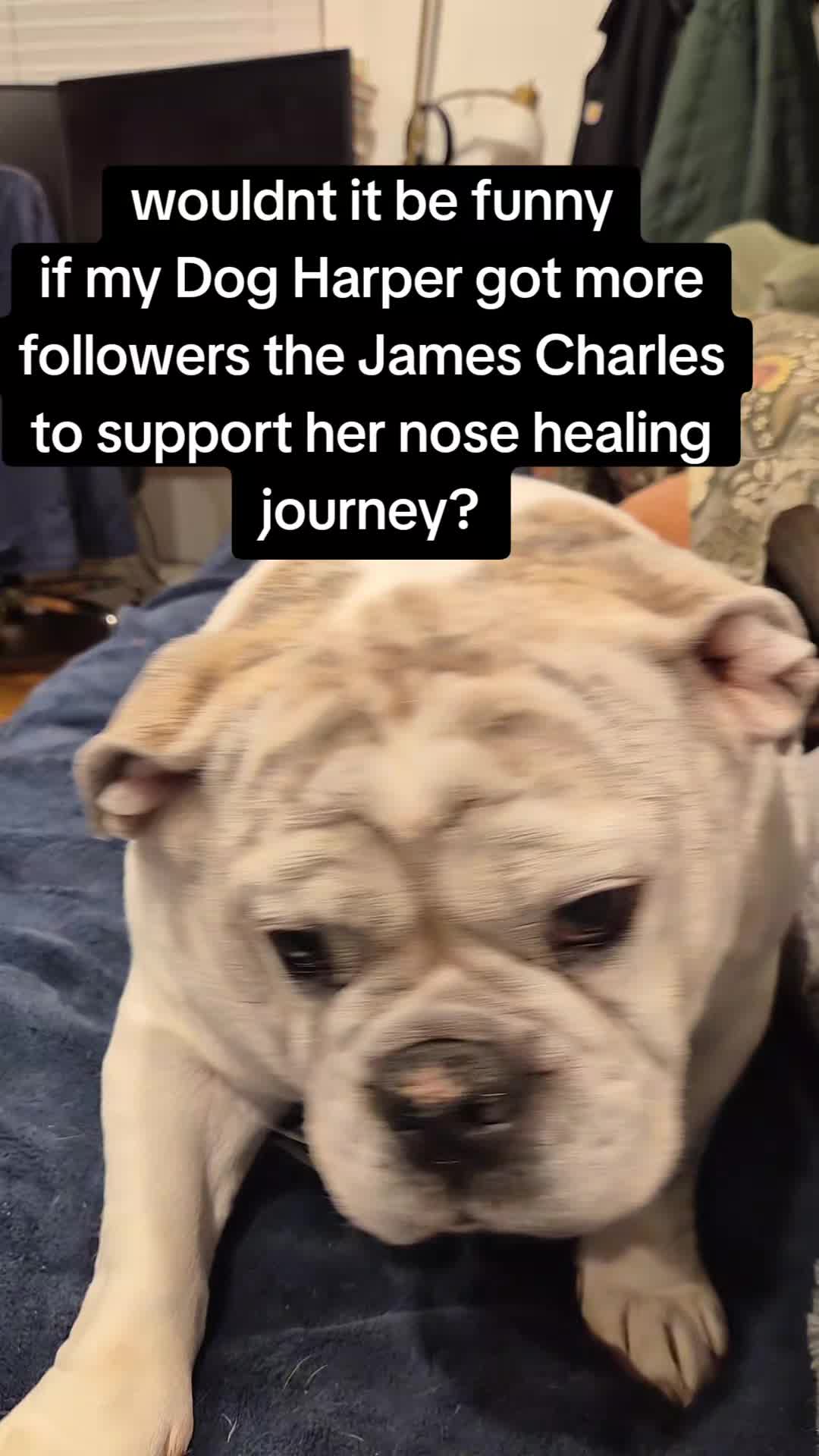 @Nealashitposts