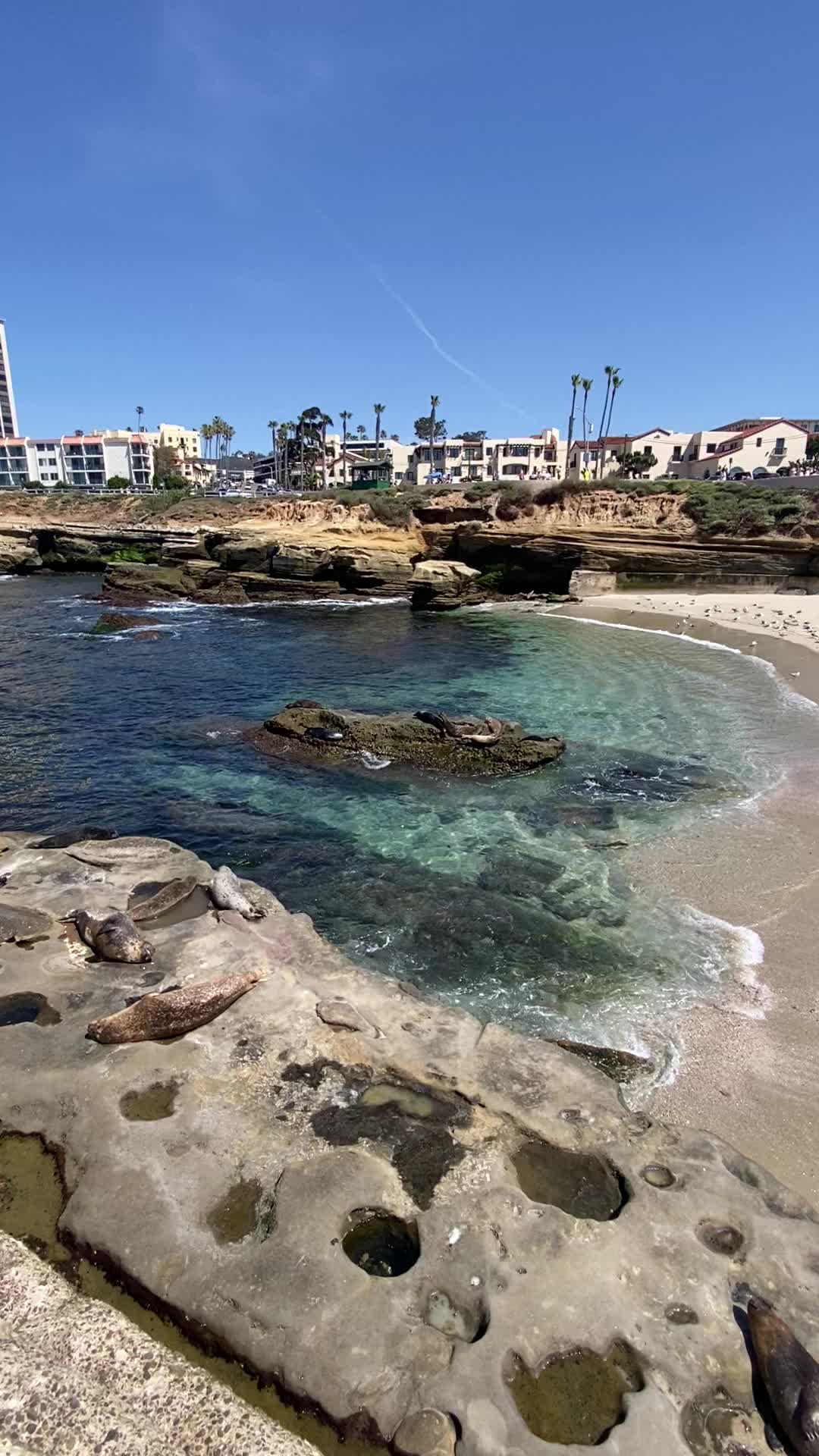 @San Diego Beach Review