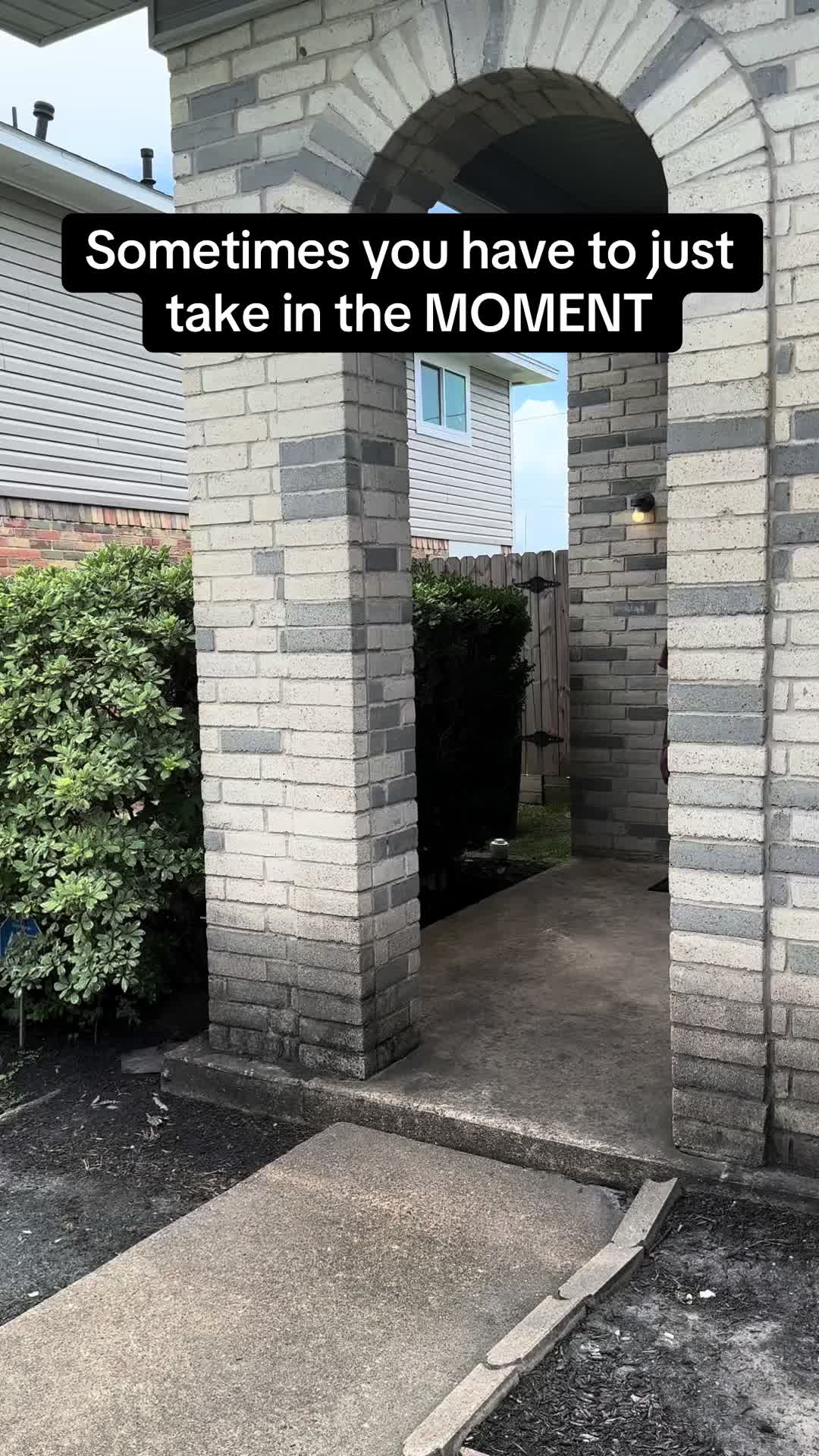 @MooreMovess ♟️🔮⭐️