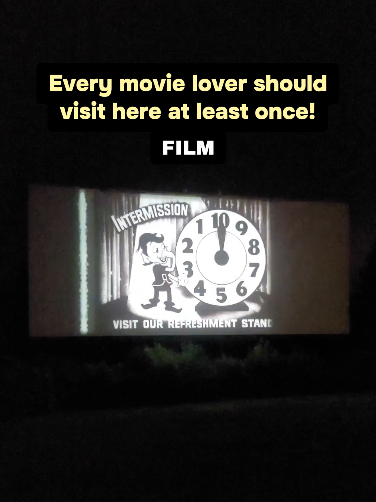 @the film bug 🎟
