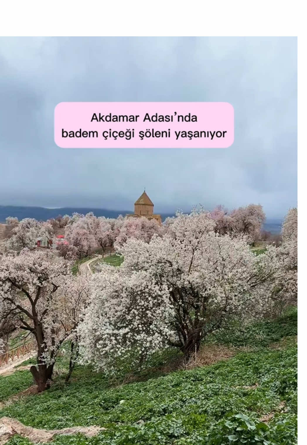 @Muzaffer Salcıoğlu
