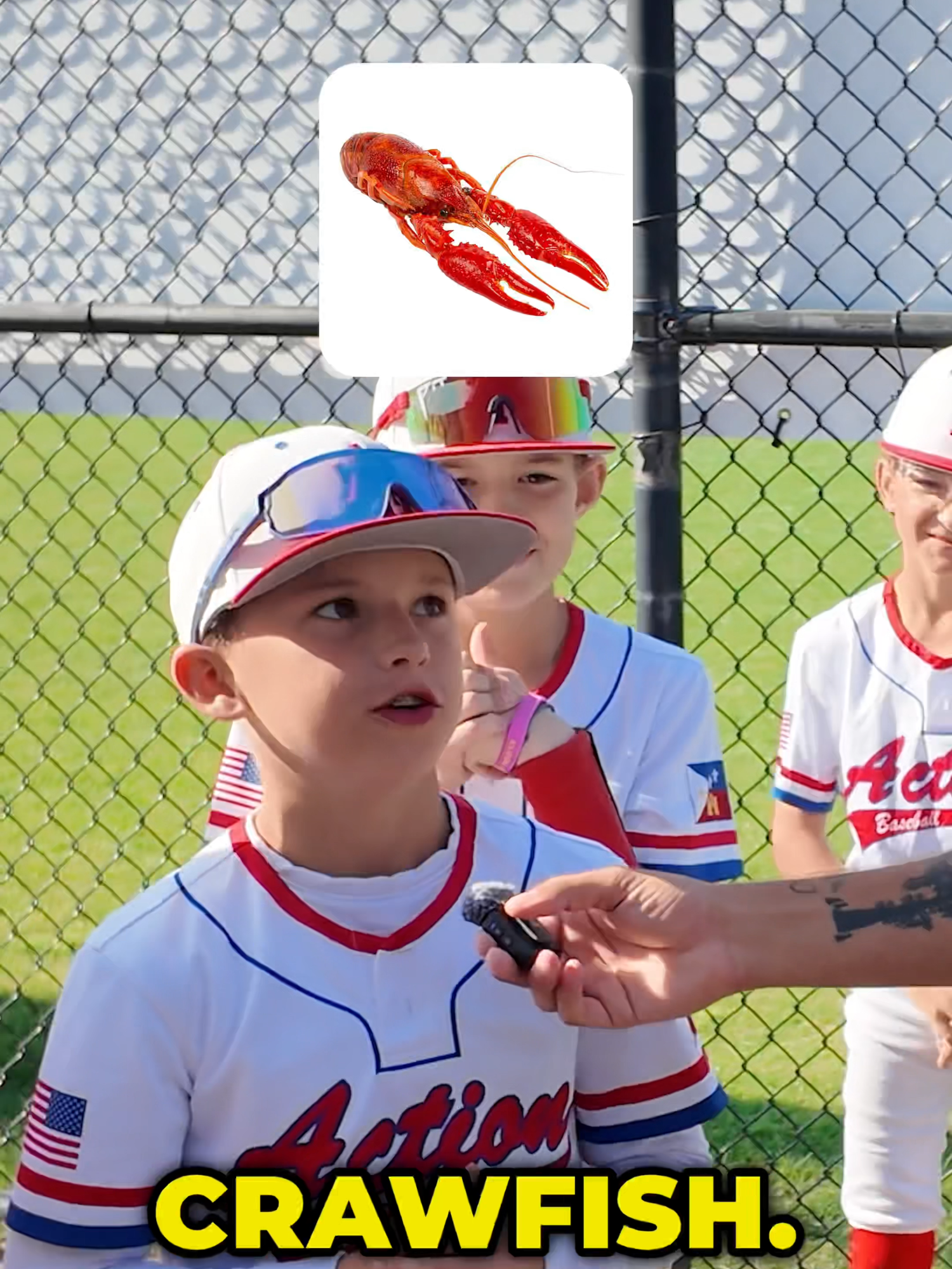@2dsportsbaseball