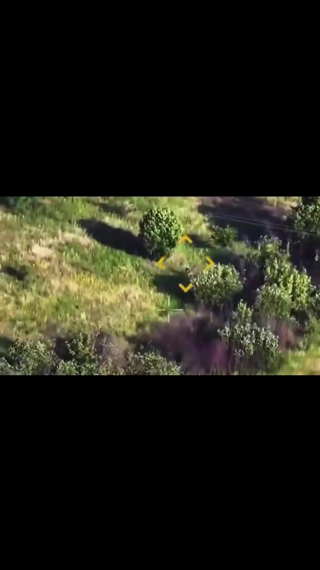 @Kevin🇺🇦🛡️🗡️
