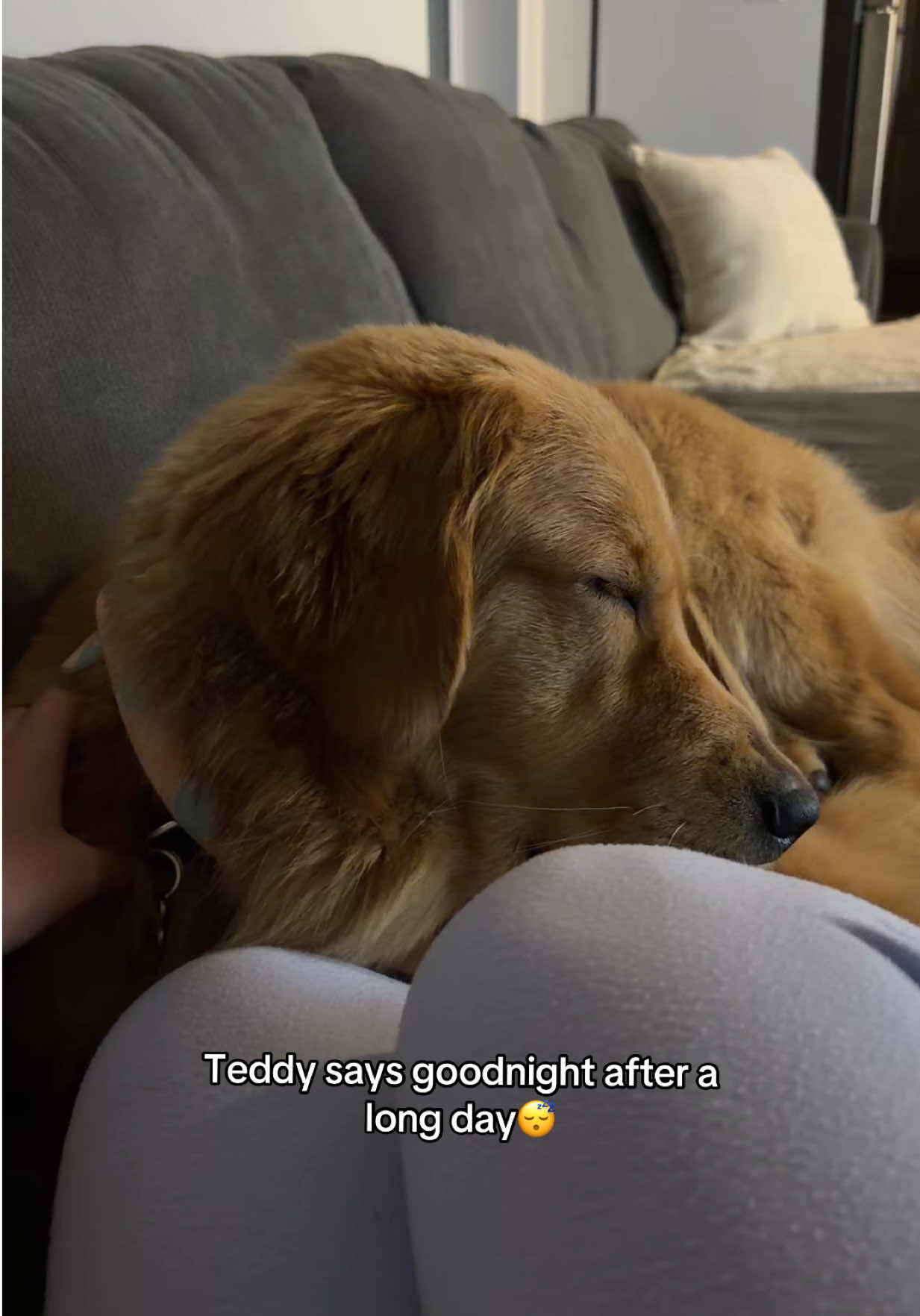 @Teddy🧸