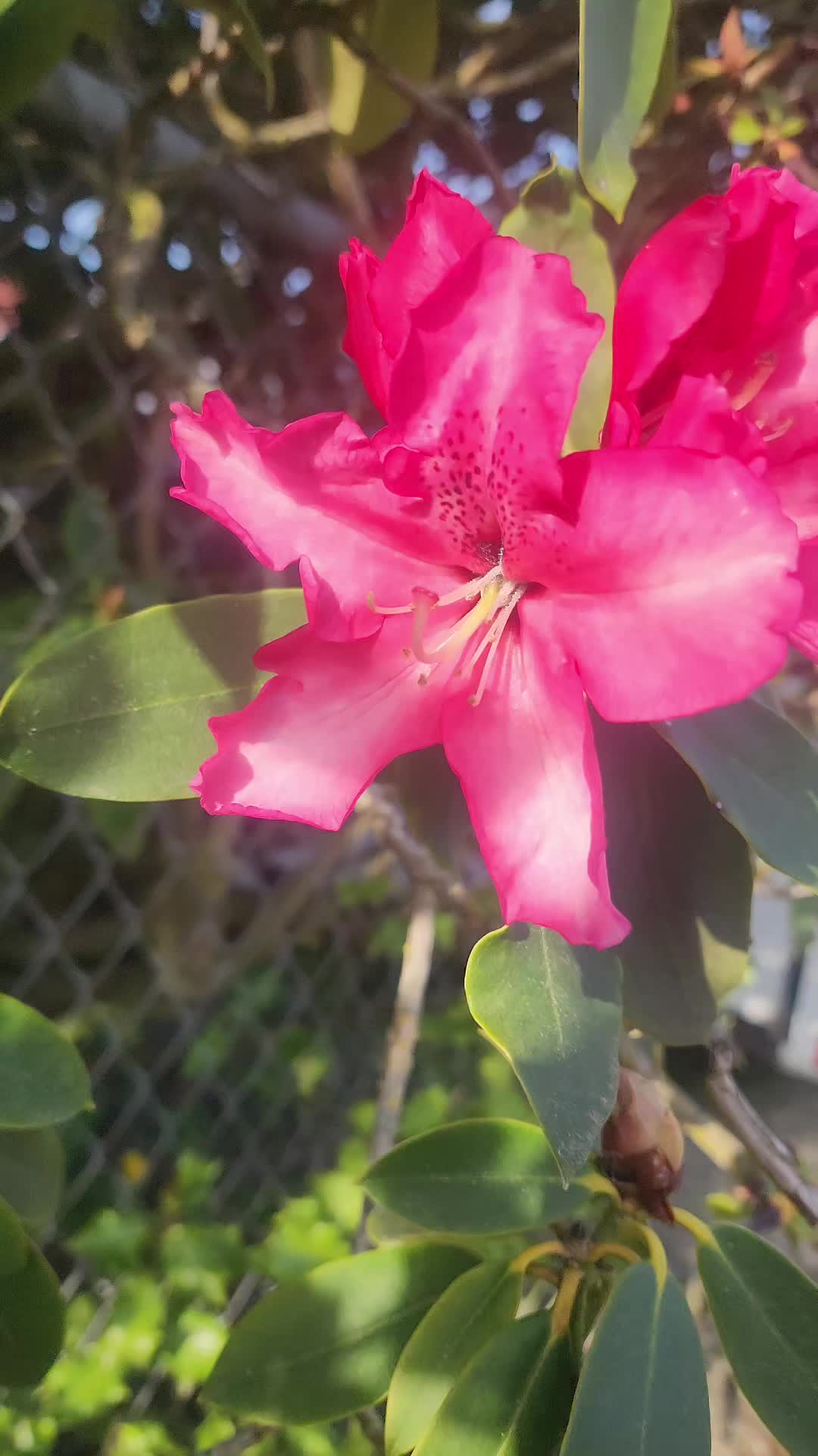 @Nature Visual
