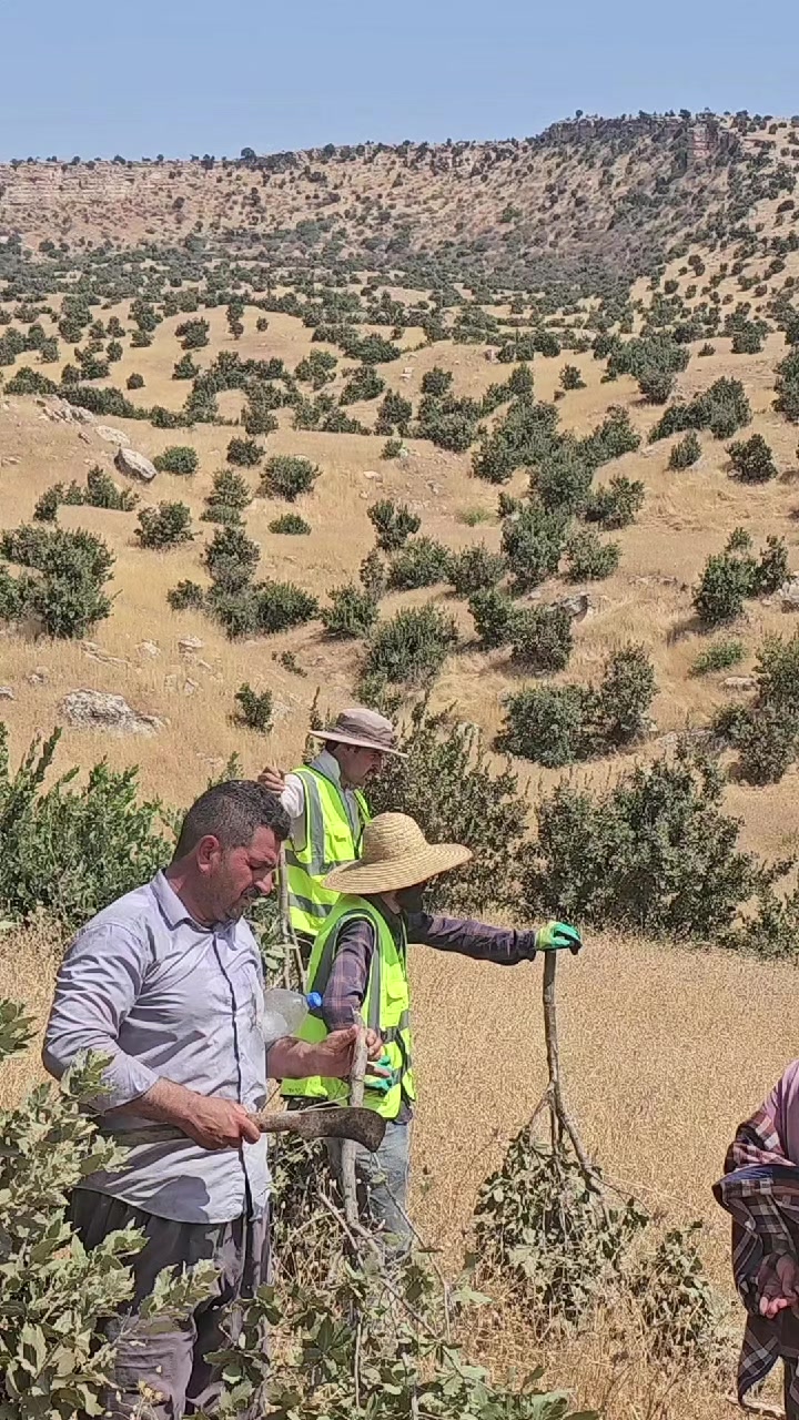 @شيخ🦅عيماد💪الهركي👑