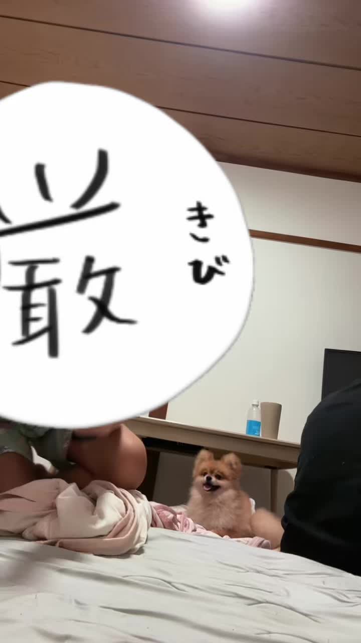 @みあん🐥⸒⸒