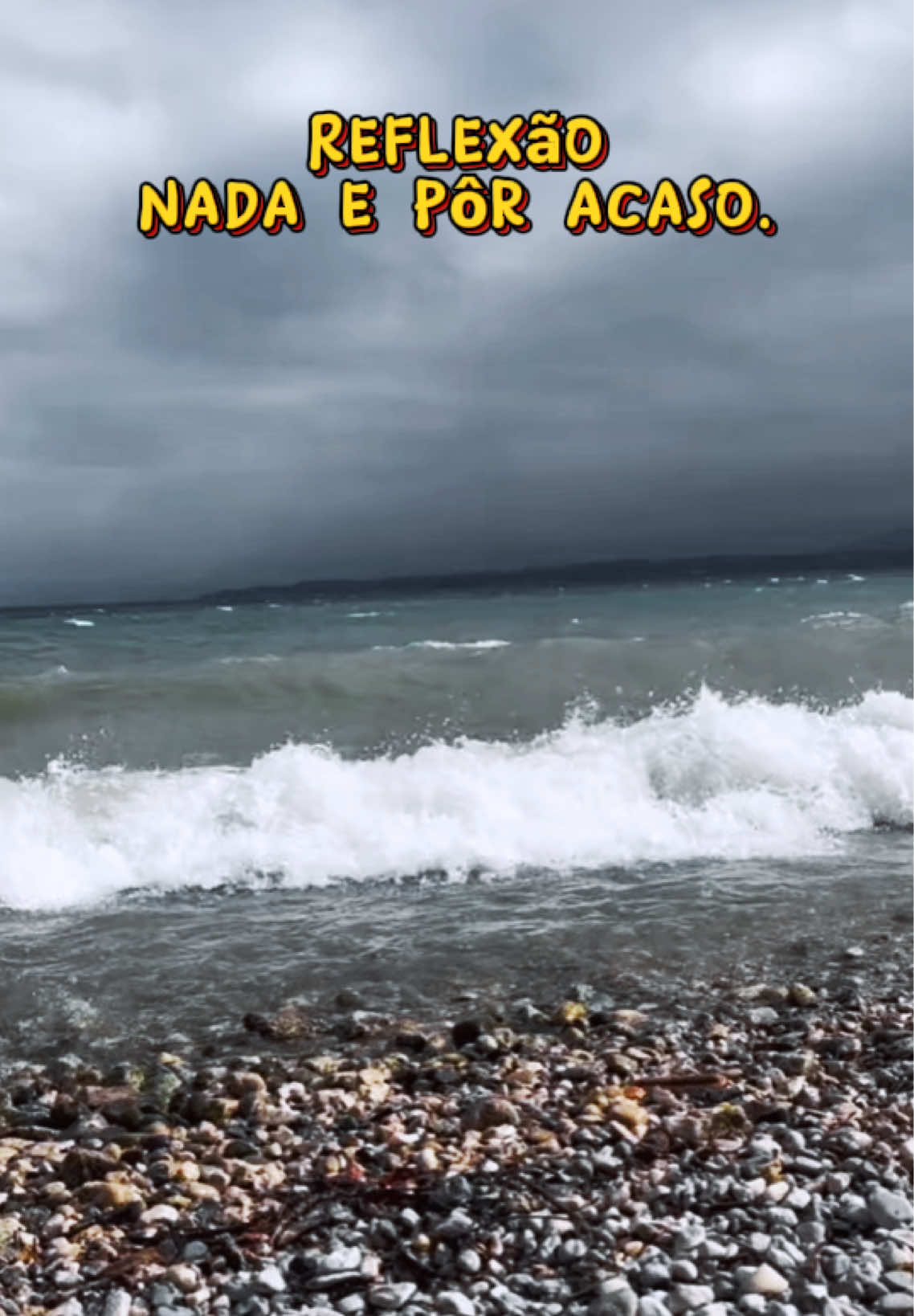 @Abel  Muhl Duarte