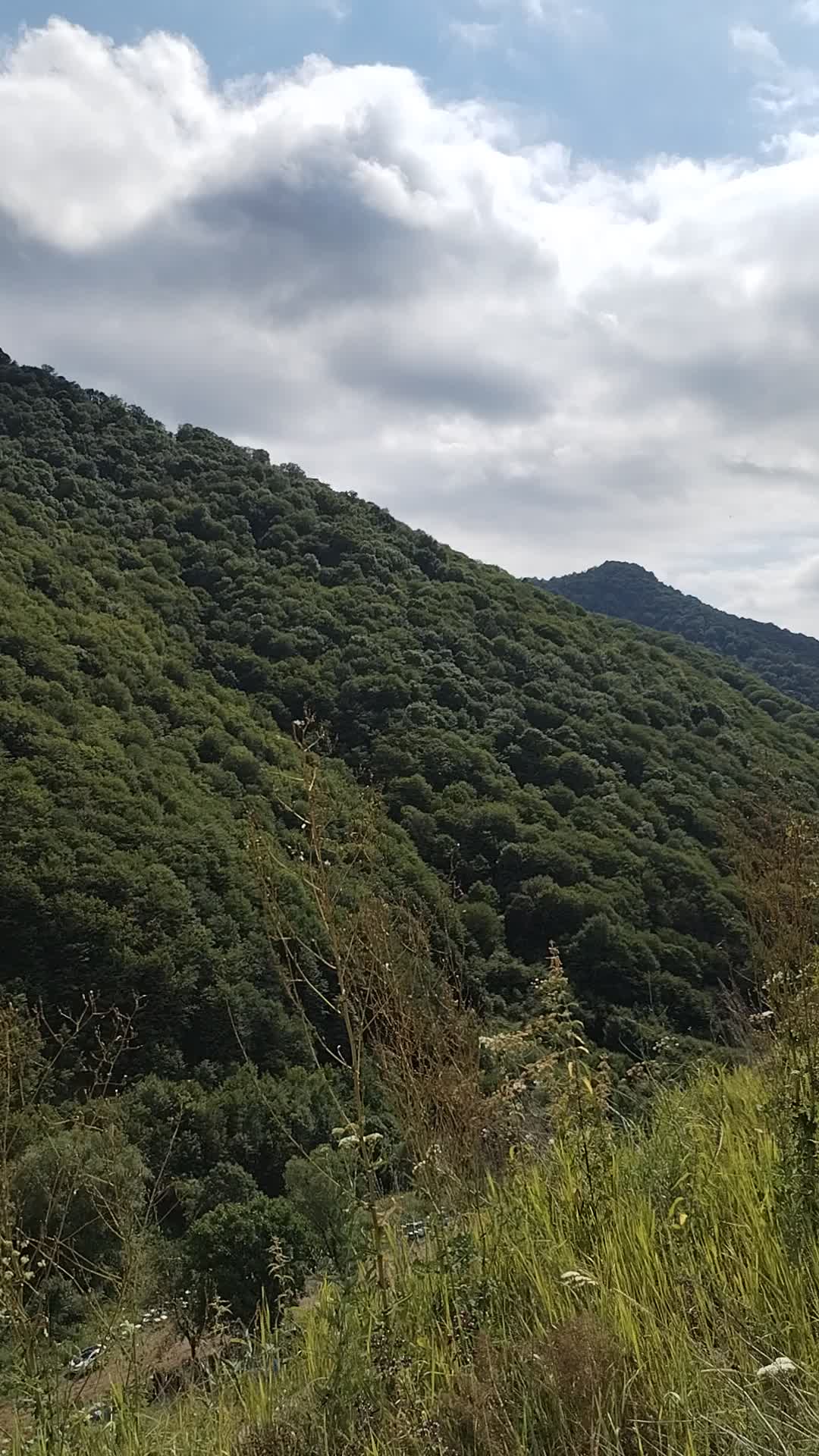 @LAÇIN EMİN